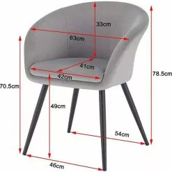 EUGAD Esszimmerstuhl, 2er-Set mit Armlehne, Retro Design, Samt, Metall Schwarz Dunkelgrau, Hellgrau -Eugad Möbel Einkaufen 14b673ed 5189 52b0 8117 c5280b6392fe