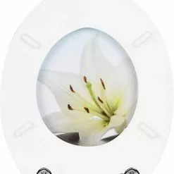 EUGAD WC-Sitz (1-St), Toilettensitz, WC Sitz mit Absenkautomatik, MDF, Holz, Softclose Scharnier Gr&uuml;ne Bl&auml;tter, Holzfarbe, Lilie, Seestern, Seestern Am Strand, Seestern Sonnenuntergang, Stone, &lrm;Lila Blume und Stones -Eugad Möbel Einkaufen 58ff7577 20c7 4ebc bd9c b1f2369dc319