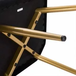 EUGAD Esszimmerstuhl (4 Stück), 4er-Set Esszimmerstuhl Polsterstuhl aus Samt Dunkelgrün Dunkelgrau, Dunkelgr&uuml;n, Rosa, Schwarz -Eugad Möbel Einkaufen cca29325 6d6e 4b37 9990 0c25a1f36a43